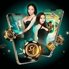 apk 11111 প্ল্যাটফর্মে তথ্য অ্যাক্সেসের সহজ পথ